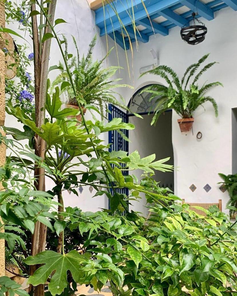 Hostal Casa Alborada Коніль-де-ла-Фронтера Екстер'єр фото