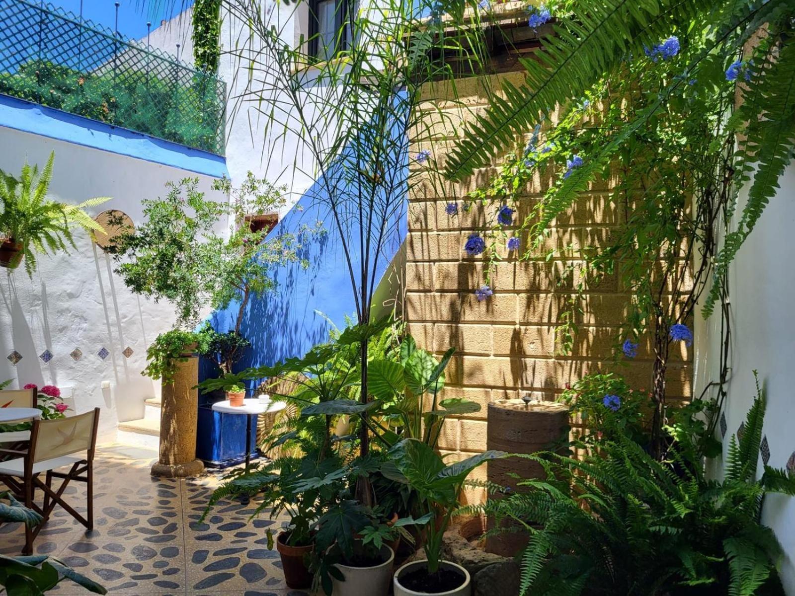 Hostal Casa Alborada Коніль-де-ла-Фронтера Екстер'єр фото