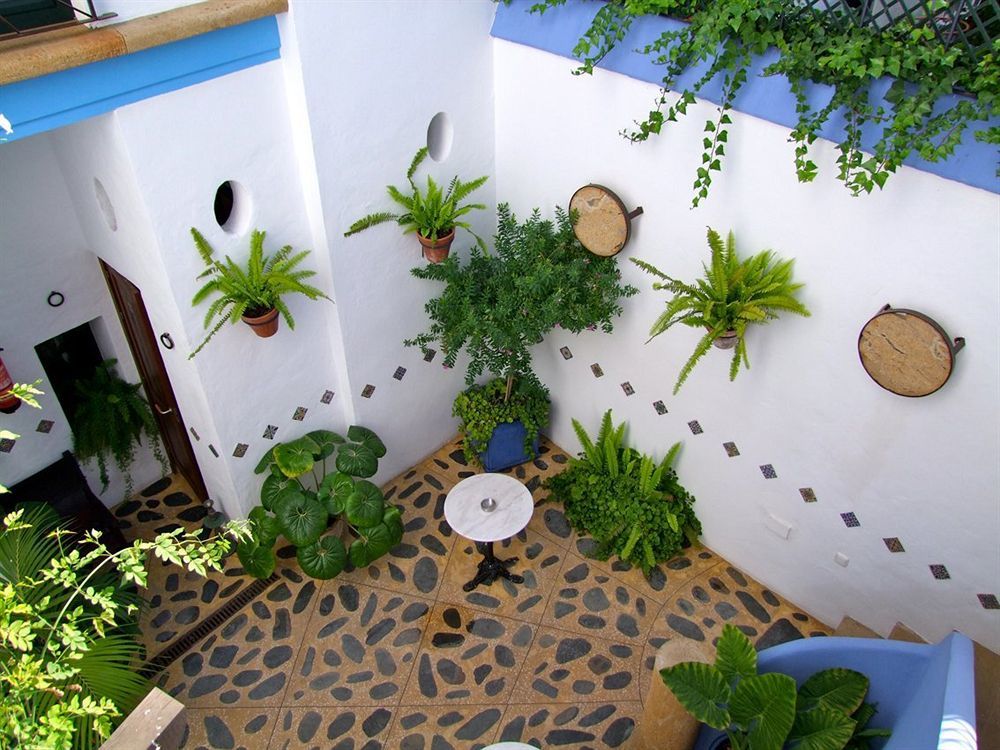 Hostal Casa Alborada Коніль-де-ла-Фронтера Екстер'єр фото